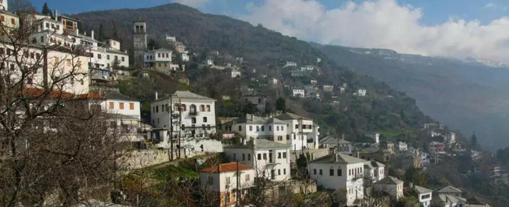 παραδοσιακο σπιτι μακρινιτσα Σπίτι διακοπών